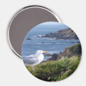 ガルコースト マグネット (正面/裏面)