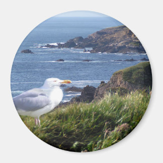 ガルコースト マグネット