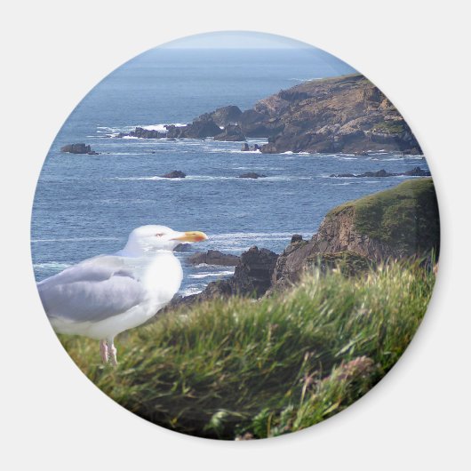 ガルコースト マグネット (正面)