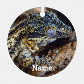 ガルゴイパーソナライズされたルゲッコペットリザード メタルオーナメント (正面)