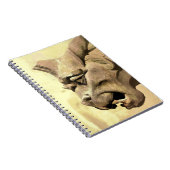 ガルゴイル ノートブック (右側)