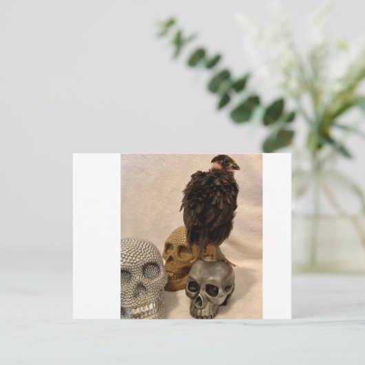 ガルゴイル ポストカード (スタンド正面)