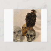 ガルゴイル ポストカード (正面)