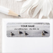 ガルスチーム ラベル (インサイチュ)