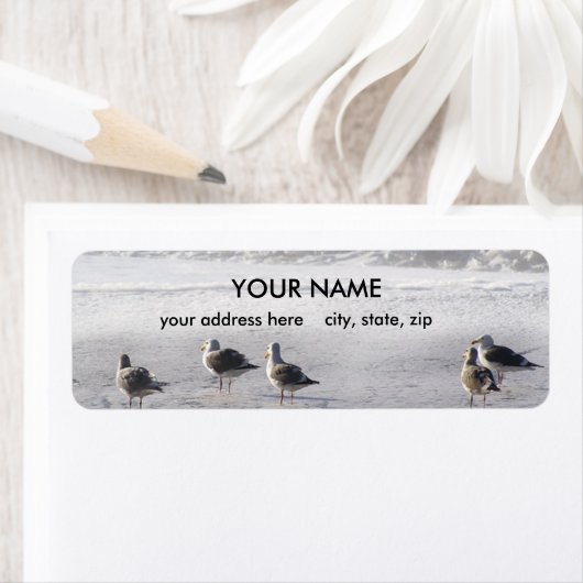 ガルスチーム ラベル (インサイチュ)