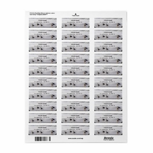 ガルスチーム ラベル (フルシート)