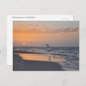 ガルズアットサンライズオンアフロリダビーチ ポストカード (正面/裏面)