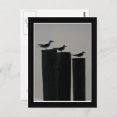 ガルズ駐留 ポストカード (正面/裏面)