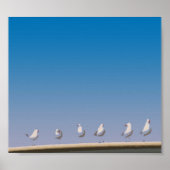 ガルズ ポスター (正面)