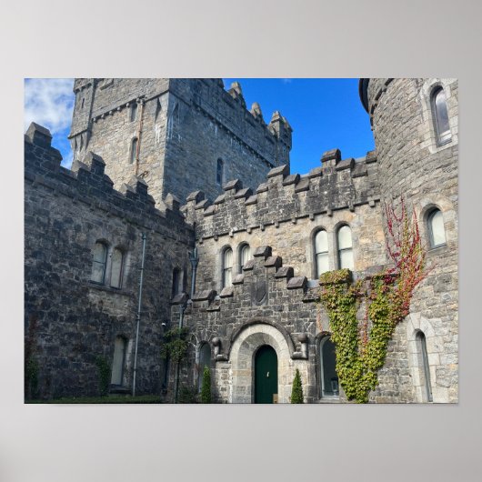 ガルタンマウンテンカウンティドネガルアイルランドヨーロッパ ポスター (正面)