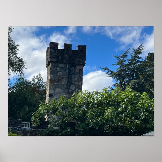 ガルタンマウンテンカウンティドネガルアイルランドヨーロッパ ポスター (正面)