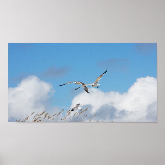 ガルトリオ2 ポスター (正面)