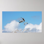 ガルトリオ4 ポスター (正面)