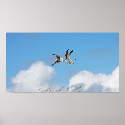 ガルトリオ5 ポスター (正面)