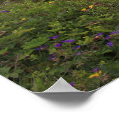 ガルフォス滝 ポスター (角)