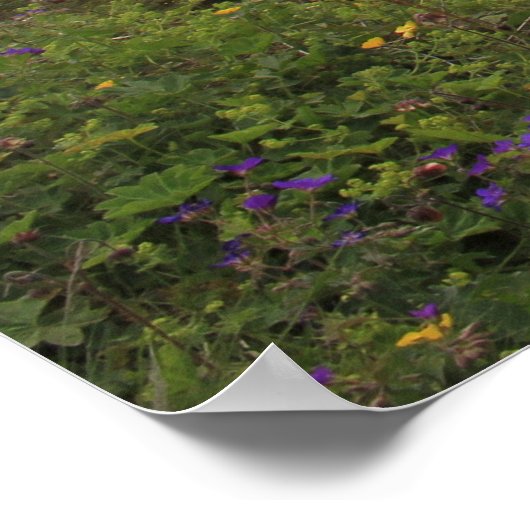 ガルフォス滝 ポスター (角)