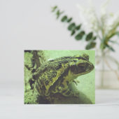 ガルフコーストワッド ポストカード (スタンド正面)