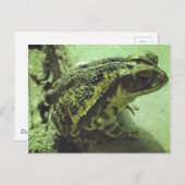 ガルフコーストワッド ポストカード (正面/裏面)