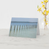 ガルフコースト – あいさつつるきカードを出そう カード (黄色い花)