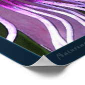 ガルフフリティラーアートプリント-20x24以下 ポスター (角)