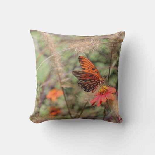 ガルフフリティラーオン《植物》百日草 クッション (正面)