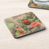 ガルフフリティラーオン《植物》百日草 コースター (左側)