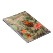 ガルフフリティラーオン《植物》百日草 ノートブック (右側)