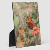 ガルフフリティラーオン《植物》百日草 フォトプラーク (側面)