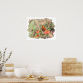 ガルフフリティリオン《植物》百日草水彩プリント ポスター (キッチン)