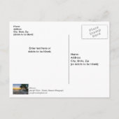 ガルフブリージー フロリダ州の夕焼け 感謝の気持ちを伝えるポストカード ポストカード (裏面)