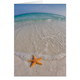 ガルフ島国立海岸ノートカード