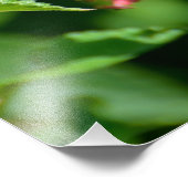 ガルフ油濁蝶 フォトプリント            (角)