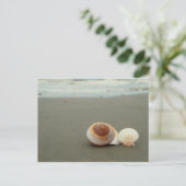 ガルベストンアイランドポストカード ポストカード (スタンド正面)