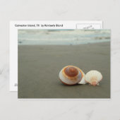 ガルベストンアイランドポストカード ポストカード (正面/裏面)