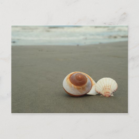 ガルベストンアイランドポストカード ポストカード (正面)