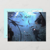 ガルベストン島 ポストカード (正面/裏面)