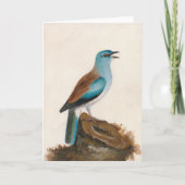 ガルーズローラー | ウィリアム・リーウィン カード (正面)