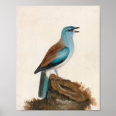 ガルーズローラー | ウィリアム・リーウィン ポスター (正面)