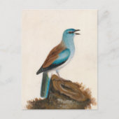 ガルーズローラー | ウィリアム・リーウィン ポストカード (正面)