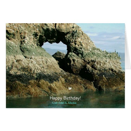 ガル島アラスカ 誕生日 (正面横)