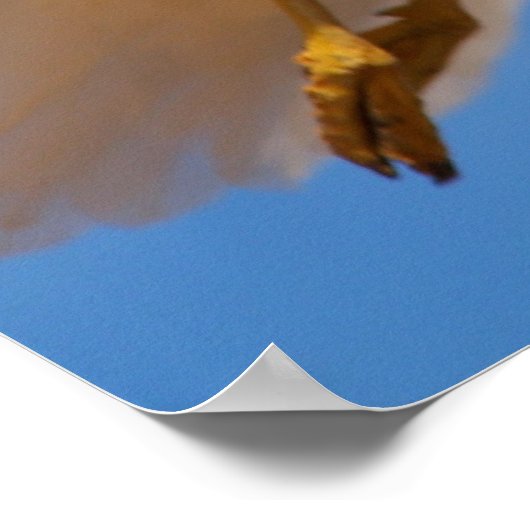 ガル ポスター (角)