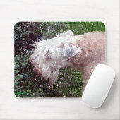 「ガレンで」 マウスパッド (マウス)