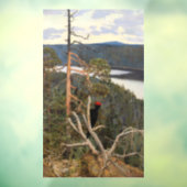 ガレン・カレーラ素晴らし – ブラックウッドペッカー1894 ウィンドウサイン (シート3)