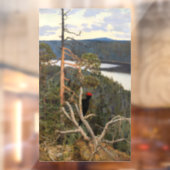 ガレン・カレーラ素晴らし – ブラックウッドペッカー1894 ウィンドウサイン (シート2)