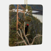 ガレン・カレーラ素晴らし – ブラックウッドペッカー1894 セラミックオーナメント (右)