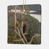 ガレン・カレーラ素晴らし – ブラックウッドペッカー1894 セラミックオーナメント (左)