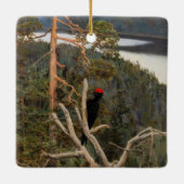 ガレン・カレーラ素晴らし – ブラックウッドペッカー1894 セラミックオーナメント (裏面)