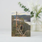 ガレン・カレーラ素晴らし – ブラックウッドペッカー1894 ポストカード (スタンド正面)