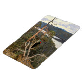 ガレン・カレーラ素晴らし – ブラックウッドペッカー1894 マグネット (左側)