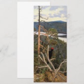 ガレン・カレーラ素晴らし – ブラックウッドペッカー1894 招待状 (正面/裏面)